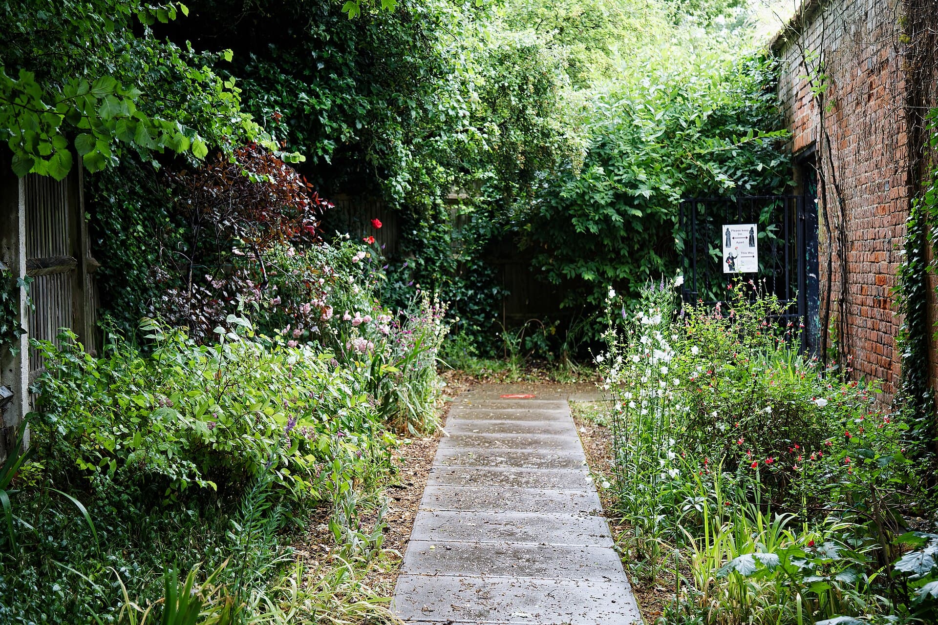 Tuin voor de renovatie